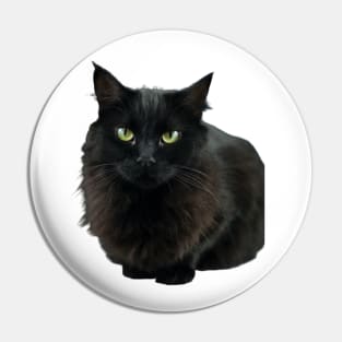 Black Cat Image Pin