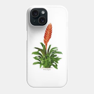 Vriesea fulgida old plate Phone Case