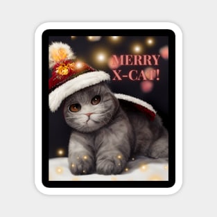 Christmas cat - charming shorthair on the Xmas cosy evening Magnet