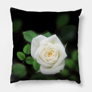 Shabby chic Pale Pink Rose Flower Pillow