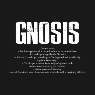 Gnosis Dictionary Word Definition T-Shirt