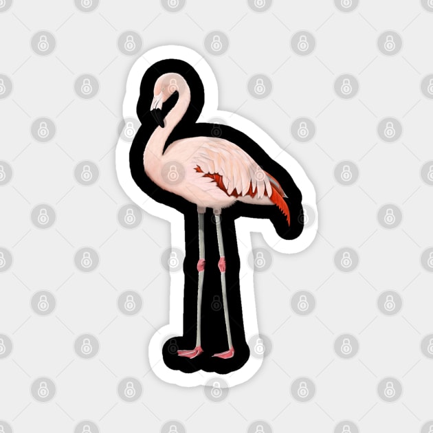 Flamingo Bird Watching Birding Ornithologist Gift Magnet by jzbirds