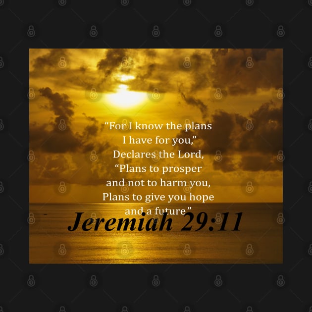 Jeremiah 29:11 Religious Quote by thebuniverse