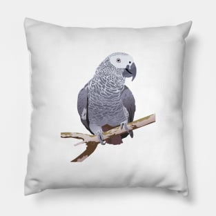 African Grey Parrot Pillow