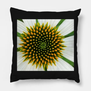 White Cone Flower Pillow