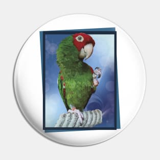 Red-masked Parakeet Pin