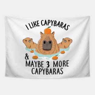 I like Capybaras and maybe 3 people Funny Baby Capybara Tapestry