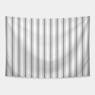 Mattress Ticking Wide Striped Pattern in Charcoal Grey and White Tapestry