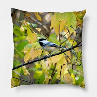 Black-capped Chickadee Perched On a Tree Branch Pillow