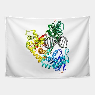 DNA Polymerase Cool Biology Gift (White Background) Tapestry