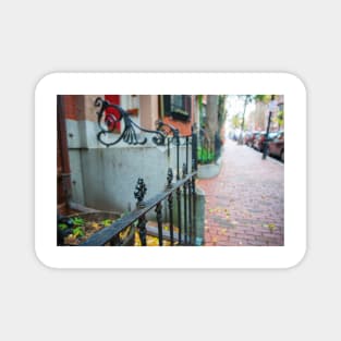 Selective focus on foreground in street scene in plush residential suburb in Boston New England Magnet