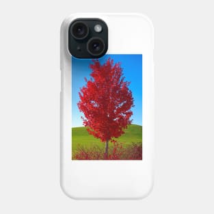 Riverfront Park Primaries Phone Case