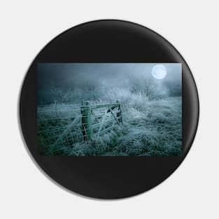 Frosty moonlit night Pin