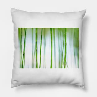 Water Horsetail Pillow