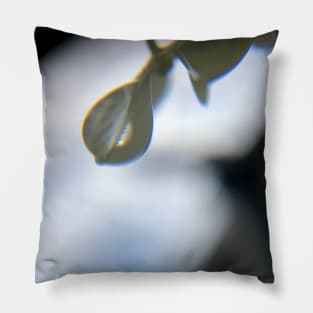 Water Droplet on Hydrangea Silhouette Pillow