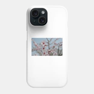 Bee in Almond Flower Phone Case