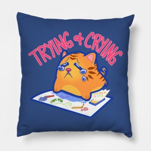 trying and crying artist Pillow