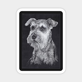 Schnauzer Magnet