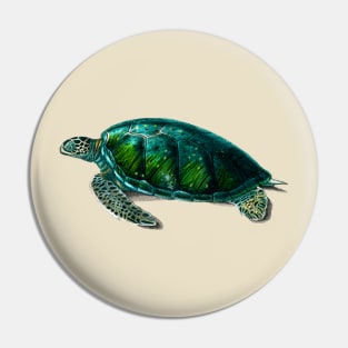 Vintage green sea turtle-animalia Pin