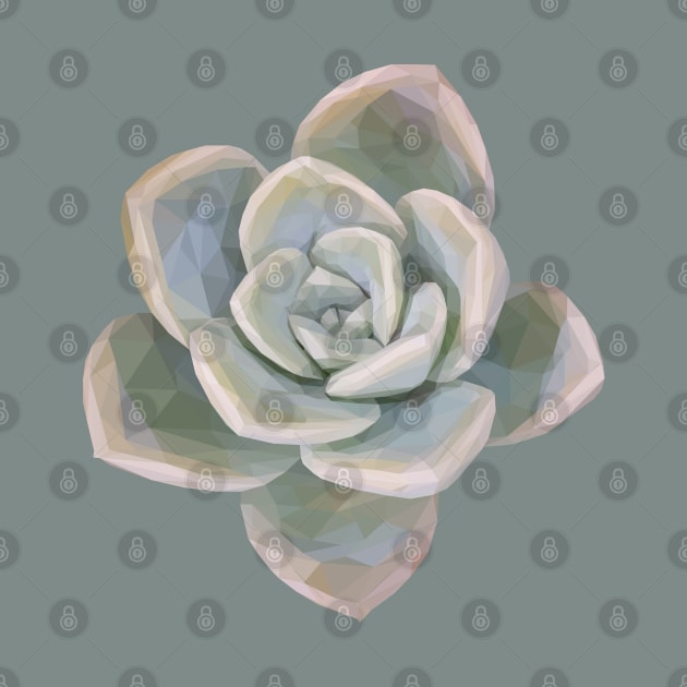 Low Poly Faded Succulent by ErinFCampbell