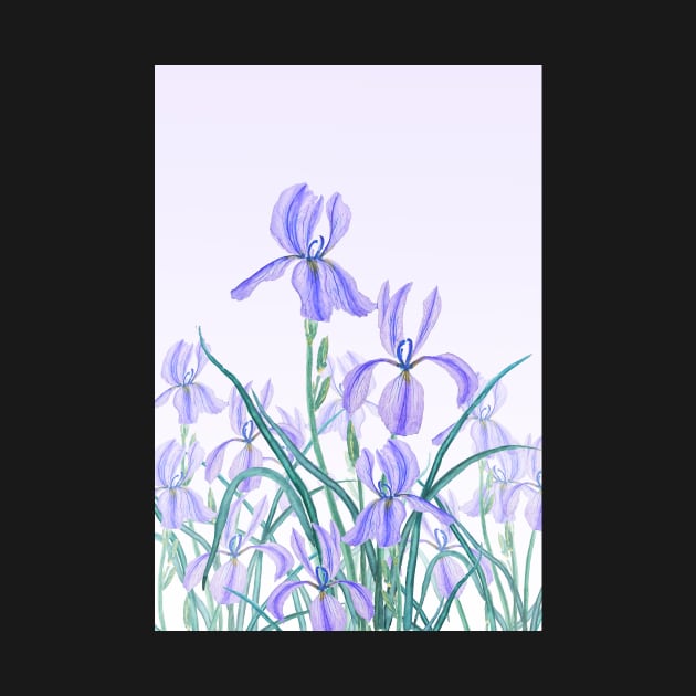 purple iris in purple background by colorandcolor