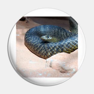 Inland Taipan Pin