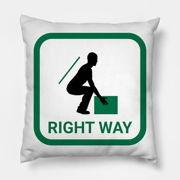 Safe manual handling. Pillow by Ekenepeken