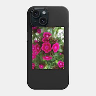 Blossoming garden carnation, magenta color print Phone Case