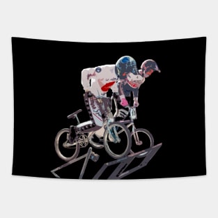 bmx Tapestry