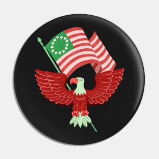 AMERICA! Pin