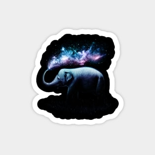 Elephant Splash Magnet