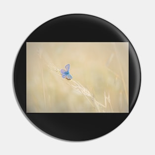 Common Blue Butterfly on Grass Pin