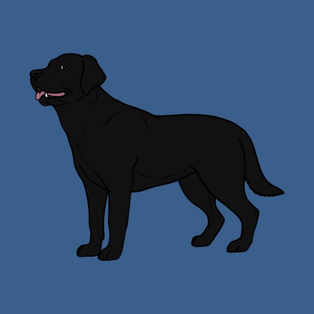 Black Labrador Retriever by rmcbuckeye