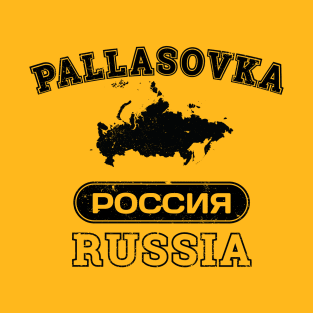 Pallasovka Russia Property of Country T-Shirt