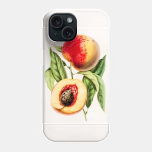 Hand drawn apricot peach Phone Case