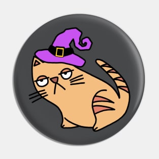 Halloween fat funny cat! Pin