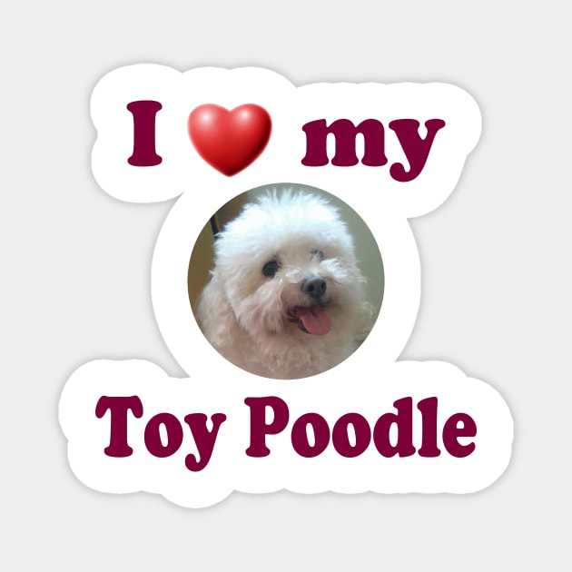 I Love My Toy Poodle Magnet by Naves