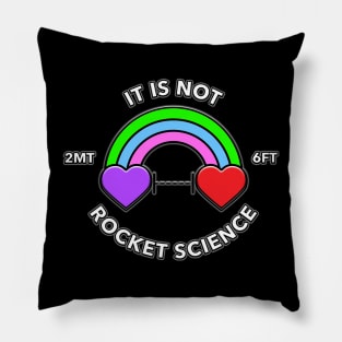 It Is Not Rocket Science Hearts Pillow