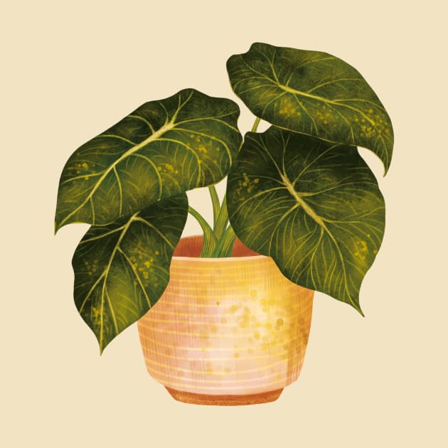 Philodendron Houseplant by rnmarts