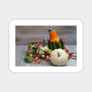 Fall background of Pumpkins and fall decor with copy space Magnet