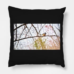 Black Capped Chickadee Pillow