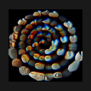 Funky spiral of life T-Shirt