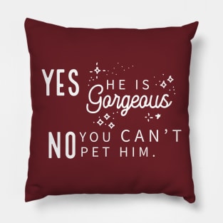 Yes He Is Gorgeous, No You Can't Pet Him - Dark Shirt Version Pillow