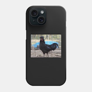 Crevecoeur Chicken Phone Case