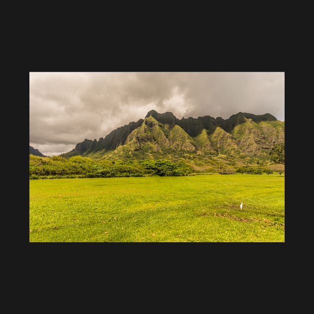 Landscapes with Cattle Egret by KensLensDesigns