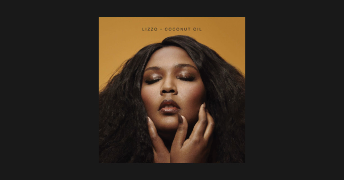 Lizzo's vectorised album cover Lizzo TShirt TeePublic