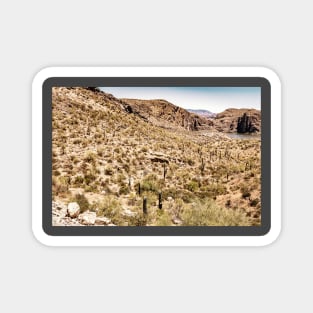 Apache Trail Scenic Drive View Magnet