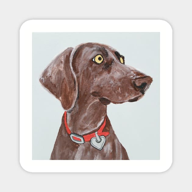 Bella Blue the Weimaraner Magnet by AmandaAAnthony