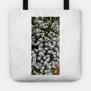 White Alyssum Tote