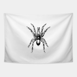 Spider Tarantula Tapestry